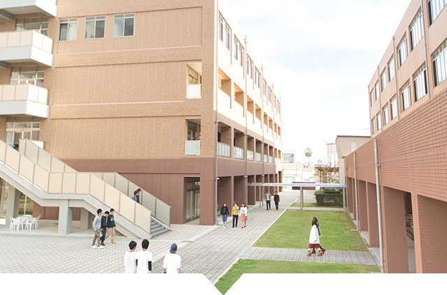 学部・学科 FACULTY