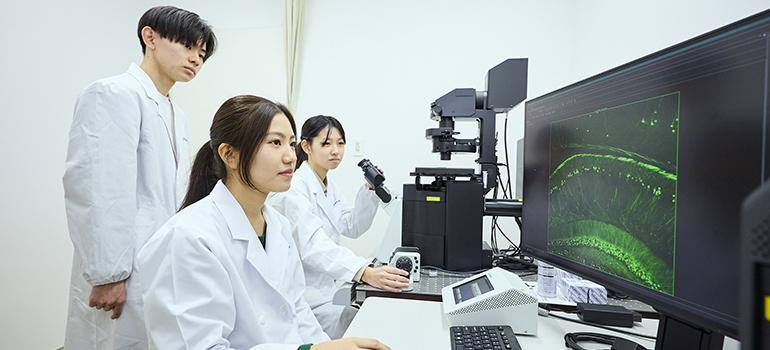 薬学科